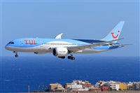Miguel A. gueda Rguez.  (CANARY ISLANDS SPOTTING). Click to see full size photo