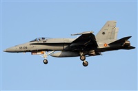 Alfonso Sols - Asociacin Canary Islands Spotting. Haz click para ampliar