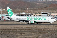 Alfonso Sols - Asociacin Canary Islands Spotting. Click to see full size photo