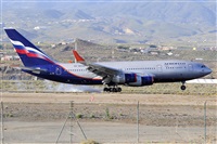 Miguel A. gueda Rguez.  (CANARY ISLANDS SPOTTING). Click to see full size photo