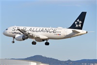 Miguel A. gueda Rguez.  (CANARY ISLANDS SPOTTING). Click to see full size photo