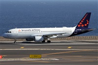 ©Alfonso Solís - Asociación Canary Islands Spotting. Click to see full size photo ©Alfonso Solís - Asociación Canary Islands Spotting. Click to see full size photo