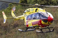 Daniel Santos Batista - Canary Islands Spotting. Click to see full size photo