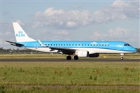 ©Alfonso Solís - Asociación Canary Islands Spotting. Click to see full size photo ©Alfonso Solís - Asociación Canary Islands Spotting. Click to see full size photo