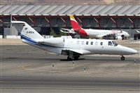 Alfonso Sols - Asociacin Canary Islands Spotting. Haz click para ampliar