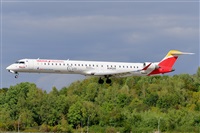 Miguel A. gueda Rguez.  (CANARY ISLANDS SPOTTING). Click to see full size photo