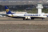 Alfonso Sols - Asociacin Canary Islands Spotting. Click to see full size photo