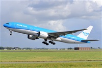 Miguel A. gueda Rguez.  (CANARY ISLANDS SPOTTING). Haz click para ampliar