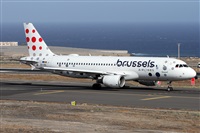 Alfonso Sols - Asociacin Canary Islands Spotting. Haz click para ampliar