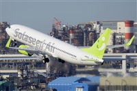 Miguel A. gueda Rguez.  (CANARY ISLANDS SPOTTING). Haz click para ampliar