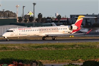 �Daniel Vergara Pineda. Click to see full size photo