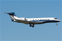 �Daniel Vergara Pineda. Click to see full size photo