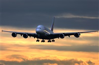 �Rom�n A. P�rez. Click to see full size photo