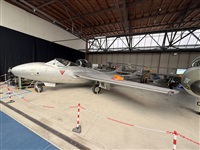 �Daniel Ferro. Click to see full size photo