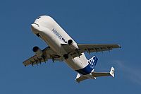 Galo Alcolea - Iberian Spotter / AIRE.ORG. Click to see full size photo