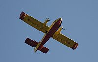 Adrin Chapela Cordeiro - Gallaecia Spotters. Click to see full size photo