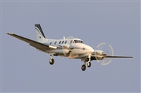 Jos Miguel Bernases - Noisy Spotters. Click to see full size photo
