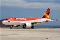 Javier de la Cruz - CANARY ISLANDS SPOTTING. Click to see full size photo