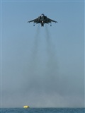 Orlando Infante. Click to see full size photo