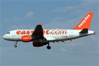 La Roche Spotters. Click to see full size photo