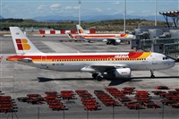 ©Javier S.T.. Click to see full size photo ©Javier S.T.. Click to see full size photo