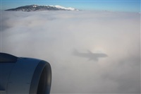 Rodrigo Carvalho - Noisy Spotters. Click to see full size photo