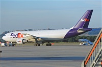 Miguel A. gueda Rguez.  (CANARY ISLANDS SPOTTING). Click to see full size photo