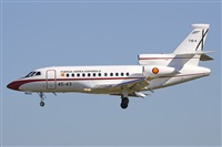 Jos Miguel Bernases - Noisy Spotters. Click to see full size photo