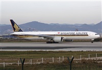 Jos Miguel Bernases - Noisy Spotters. Click to see full size photo