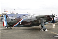 Jos Miguel Bernases - Noisy Spotters. Click to see full size photo