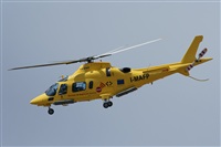 Gerardo A. Prez   Canary Islands Spotting. Click to see full size photo
