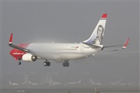 Rodrigo Carvalho - Noisy Spotters. Click to see full size photo