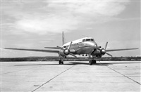 ©Juan M. Gonzalez. Click to see full size photo ©Juan M. Gonzalez. Click to see full size photo