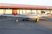 Miguel Martin Cordeiro - Iberian Spotters. Haz click para ampliar