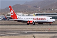 ©Alfonso Solís - Asociación Canary Islands Spotting. Click to see full size photo ©Alfonso Solís - Asociación Canary Islands Spotting. Click to see full size photo