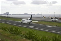 Rui Alves - Madeira Spotters. Click to see full size photo