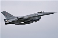 Tams. Click to see full size photo