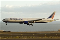 Javier de la Cruz - CANARY ISLANDS SPOTTING. Click to see full size photo