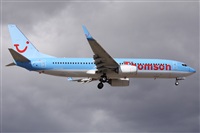 ©Alfonso Solís - Asociación Canary Islands Spotting. Click to see full size photo ©Alfonso Solís - Asociación Canary Islands Spotting. Click to see full size photo