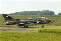 Tams. Click to see full size photo