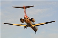 Miguel A. gueda Rguez.  (CANARY ISLANDS SPOTTING). Haz click para ampliar
