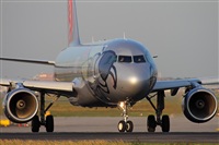 Miguel Alia - Noisy Spotters. Click to see full size photo