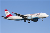 Miguel Alia - Noisy Spotters. Click to see full size photo