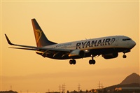 Saimon J Rodriguez   -   Canary Islands Spotting. Click to see full size photo