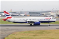 Miguel A. gueda Rguez.  (CANARY ISLANDS SPOTTING). Haz click para ampliar