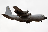 Adolfo Bento - Gran Canaria Spotters. Click to see full size photo