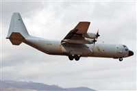 J. Victor Vega-Gran Canaria Spotters. Click to see full size photo