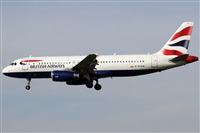 Rubn Gil - Noisy Spotters. Click to see full size photo