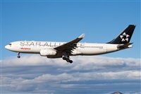 Miguel Alia - Noisy Spotters. Click to see full size photo