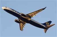 Saimon J Rodriguez   -   Canary Islands Spotting. Click to see full size photo